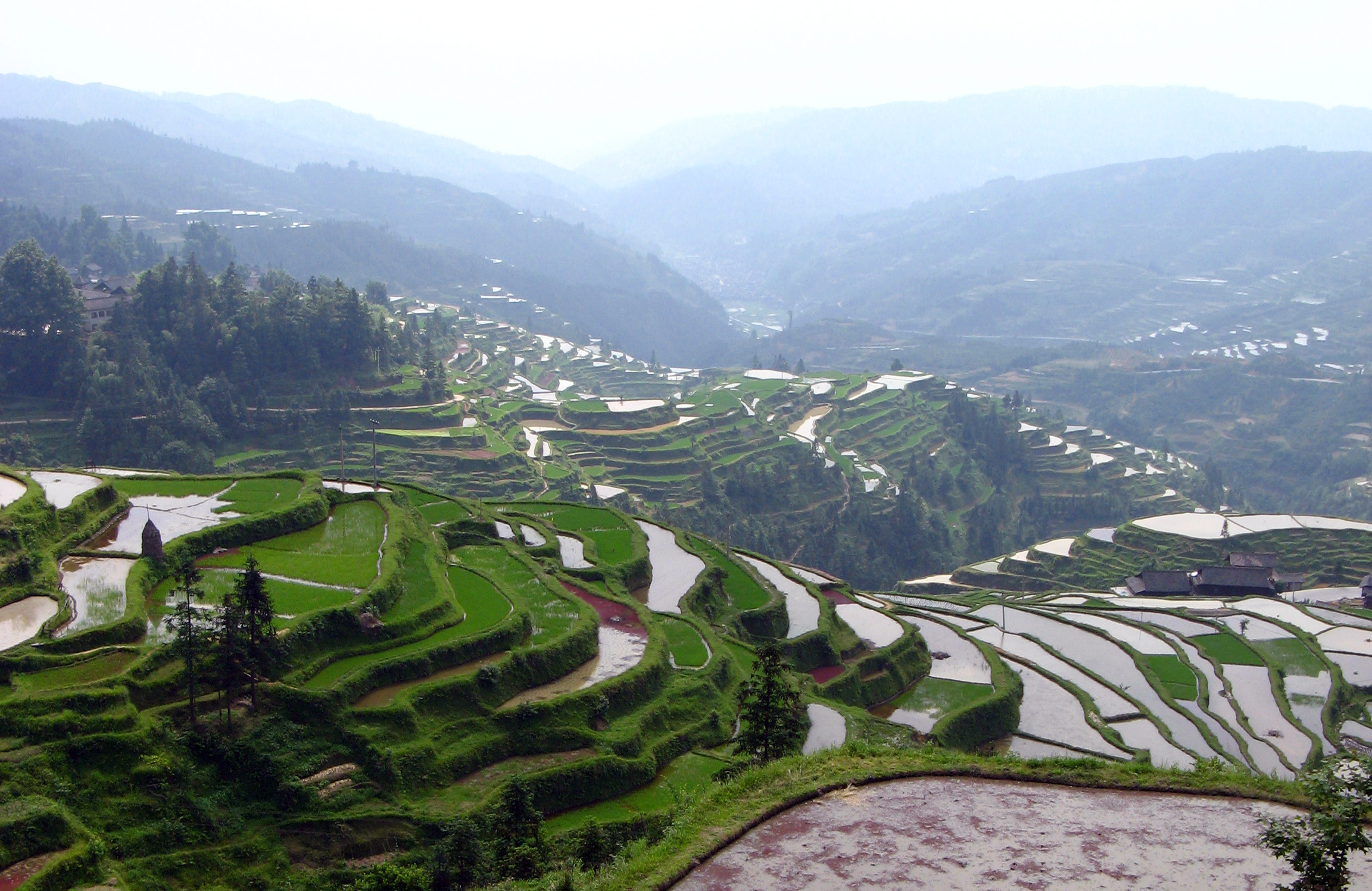 The rice terraces,Congjiang to Zhaoxing