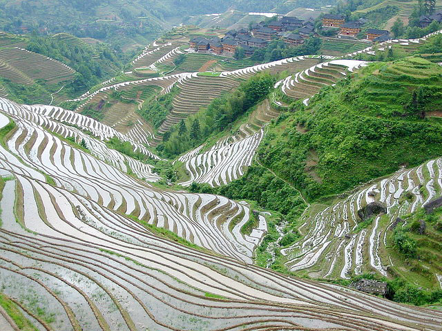 Longji Rice Terraces in Longsheng of Guilin,China